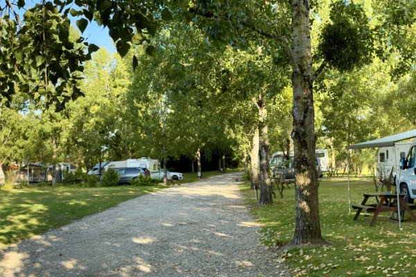 Camping Rasenstellplätze